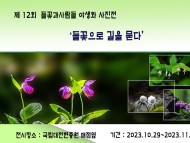 '들꽃으로 길을 묻다' 展 개최